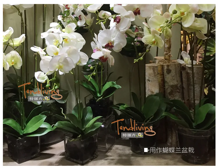 Искусственный лист орхидеи с искусственными зелеными корнями, компоновка листьев орхидеи, сделай сам, исходный материал, искусство