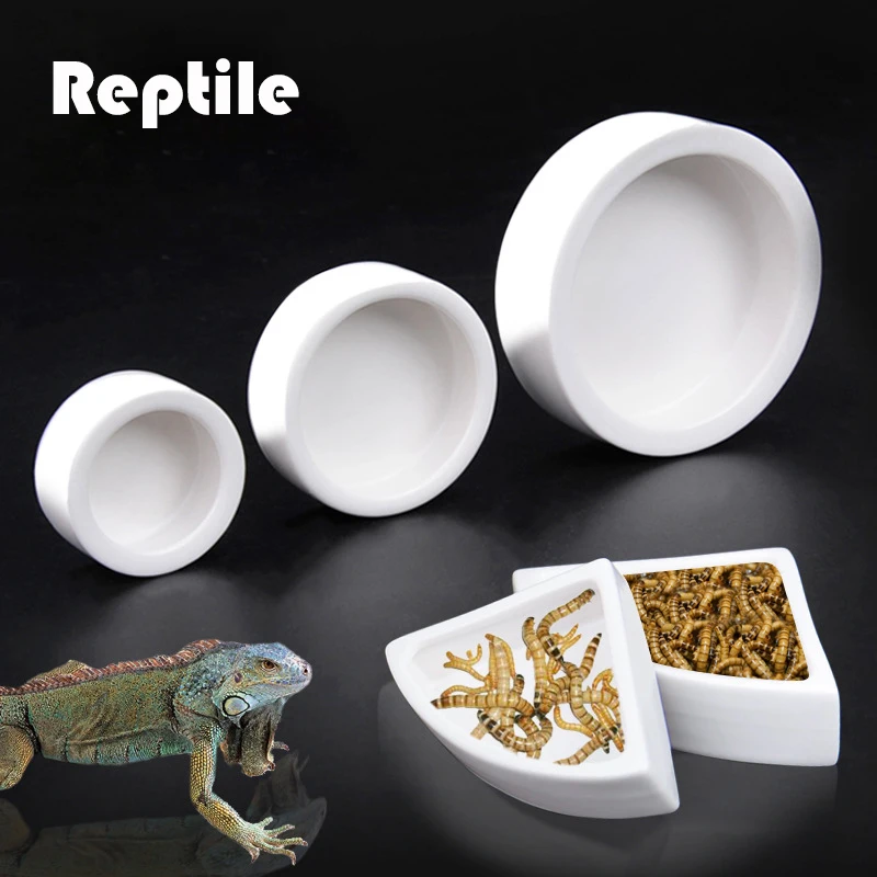 Cerámica comedero de reptiles agua plato de comida de alimentación tazón para tortuga serpiente, lagarto cuenca Gecko camaleón