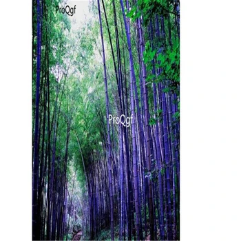 

Ngryise 1001Pcs A Set Purple Bamboo Phyllostachys nigra