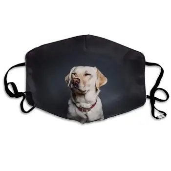 

Mouth Mask for Daily Dress Up, Cute Labrador Dog Anti-dust Mouth-Muffle, Washable Reusable Holiday Half Face Masks for Mens and