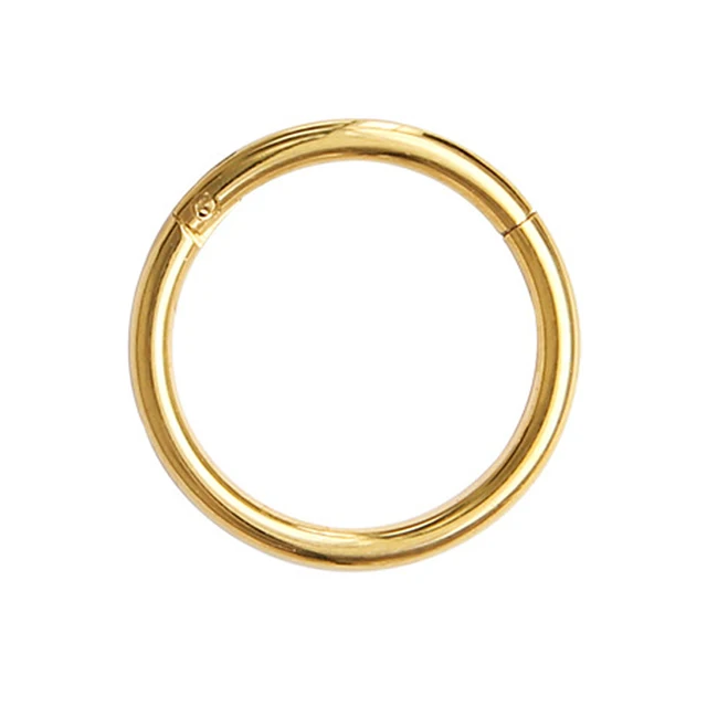 Hinged Septum Clicker Segment Nose Ring Lip Ear Cartilage Ear Helix Body Piercing Jewelry  Surgical Steel Ring Hoop Gold