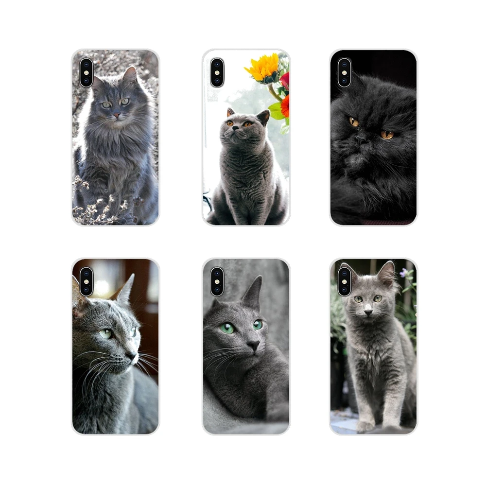 Серый Кот милые животные для samsung Galaxy A3 A5 A7 A9 A8 Star A6 Plus 2018 2015 2016 2017 аксессуары чехлы