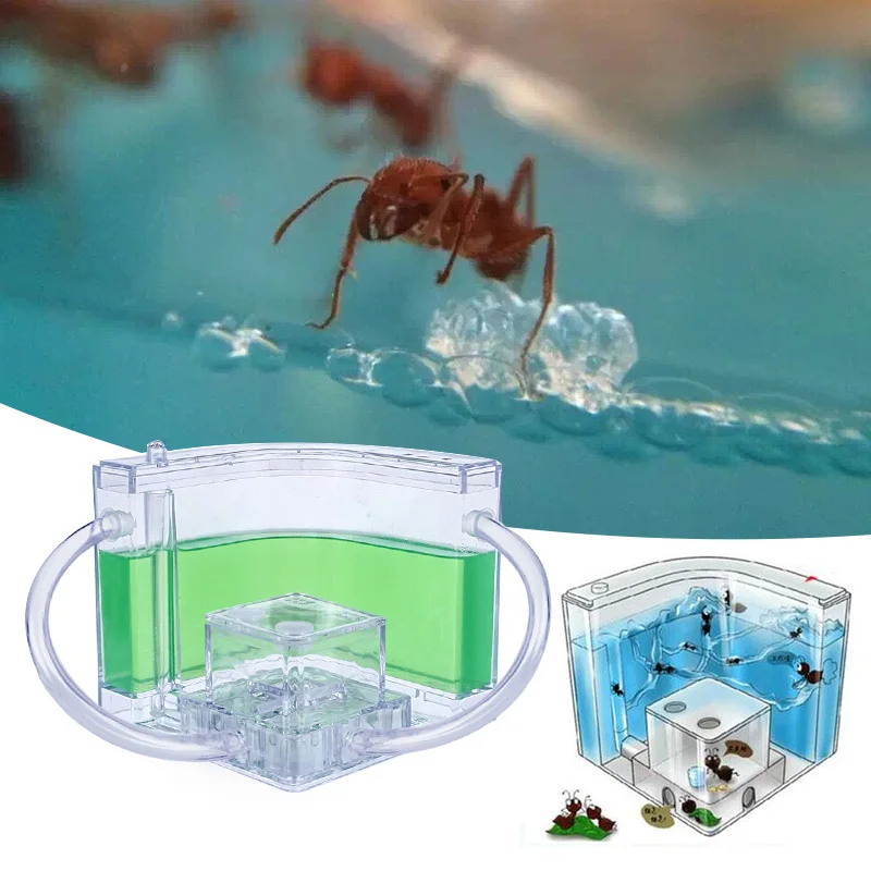 

10.8CM Ants House Colorful Villa Specially Decoration Ant Farm Funny Pet Toy Feeding Area Kids Gift Luminous Transparent Insect