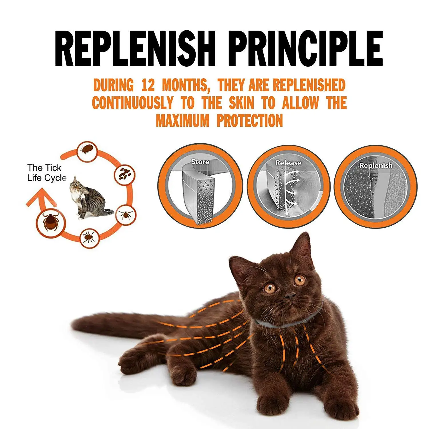 Cat Dog Collar Retractable Deworming Dog Cat  8 Month Flea & Tick Prevention Collar For Medium Puppy Cat Mosquitoes Supplies