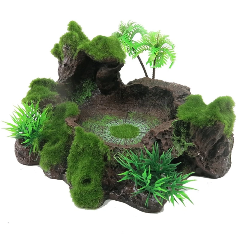 iguana tank decor