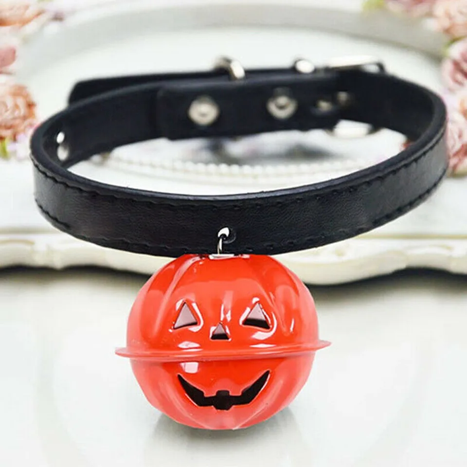 pumpkin dog tag