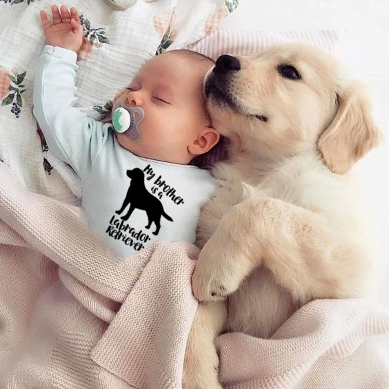 Kardesim Bir Labrador Bebek Tek Parca Kardesim Bir Labrador Retriever Bebek Kopek Bodysuits Sevimli Bebek Kopek Giysileri Bebek Hediye Aliexpress