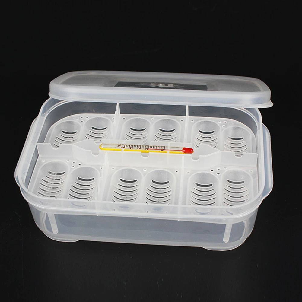 

Holes Reptile Egg Incubation Tray Gecko Lizard Snake Chicken Eggs Incubation Tool Insect Keeping Box Incubator #830