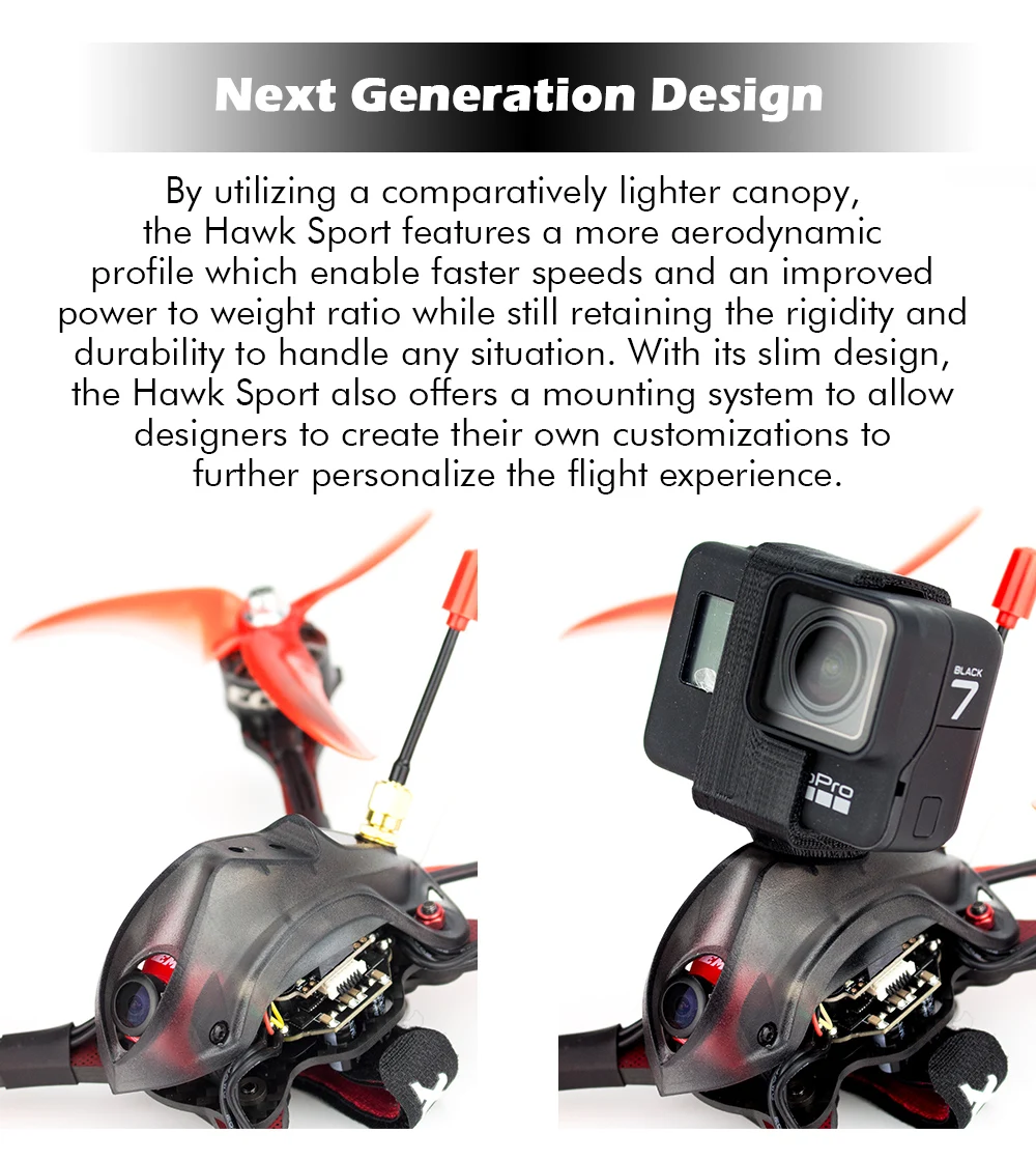 Hawk-Sport_02