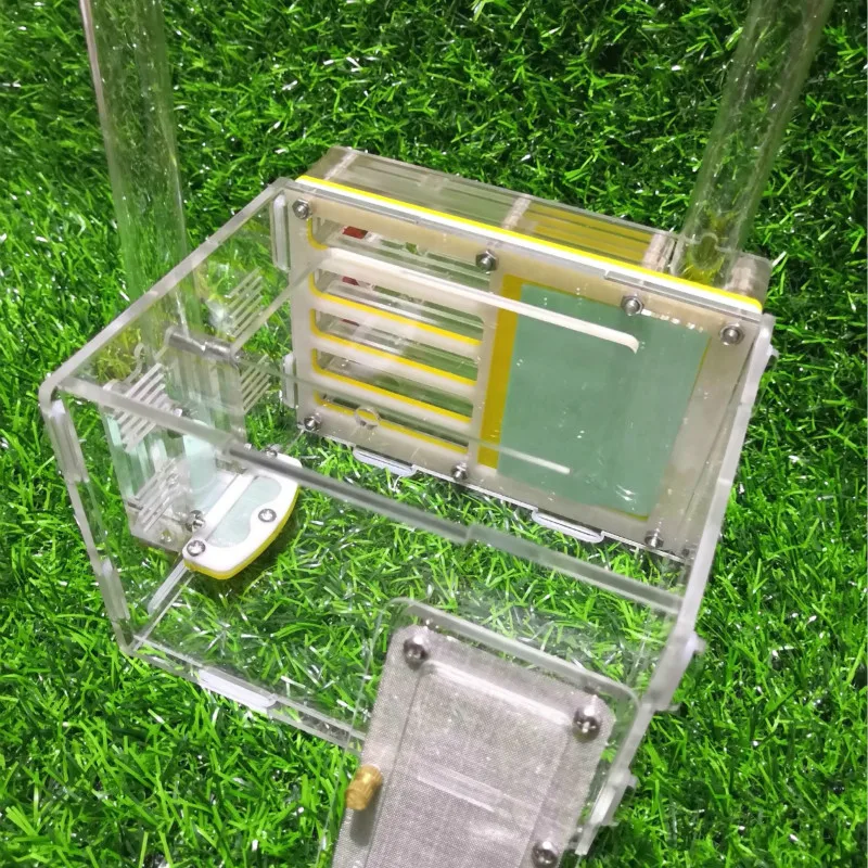 

Акриловое бионическое Муравьиное гнездо, внешнее семейное бионическое гнездо для комнаты, Муравьиное гнездо, Искусственное искусство для дома