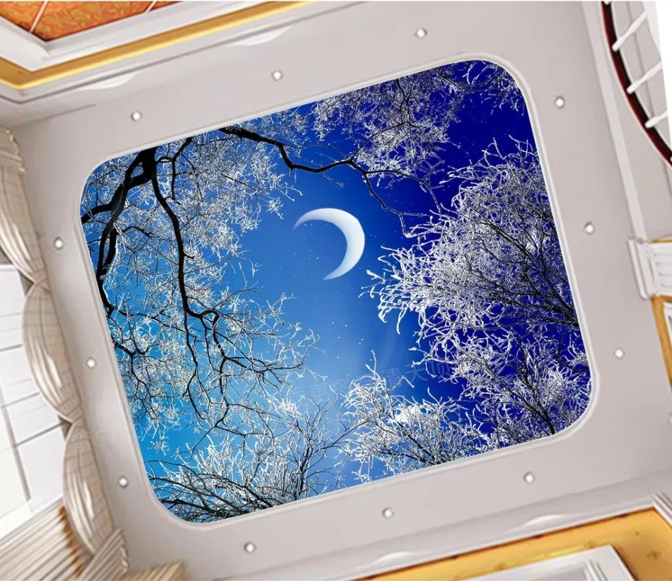 Custom 3D Ceiling Mural Wallpaper European Style  Winter under the forest sky night sky night ceiling edgar winter they only come out at night 180g