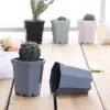 Garden Supplies