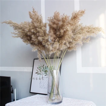 

Pampas Grass Decor Plants Home Wedding Decor Dried Flowers Bunch Feather Flowers Natural Phragmites Tall 20-22''