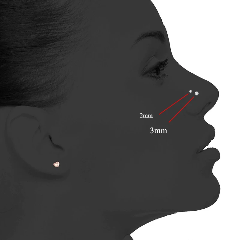 Nose Rings Piercing Jewelry Nose Studs Body Piercing Earrings Body Piercing Jewelry Body Jewelry Lovely Heart Star Shape Nose Rings for Women Nose Studs Fashion Body Piercing Jewelry Earings Ball End