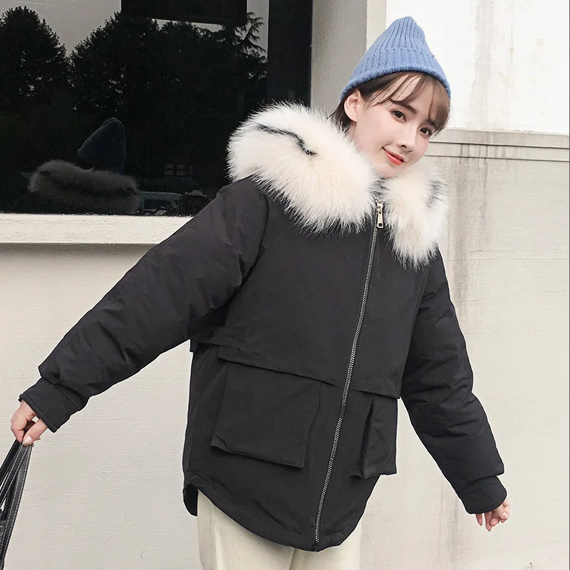

Large Fur Collar Cotton Coat Women's Winter 2019 New Style Korean-style down Coat Short INS Students Cotton-padded Jacket Cotton