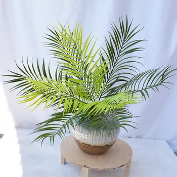 

Model Extra Large Plant feng wei jiao Large Brazil Sago Cycas Cycas Leaf Plant Wall with Wood Fern Bundle of Engineering Decorat