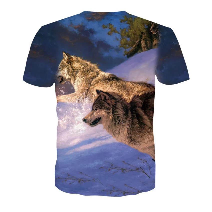 D-106-凯诚T恤短袖模板-后