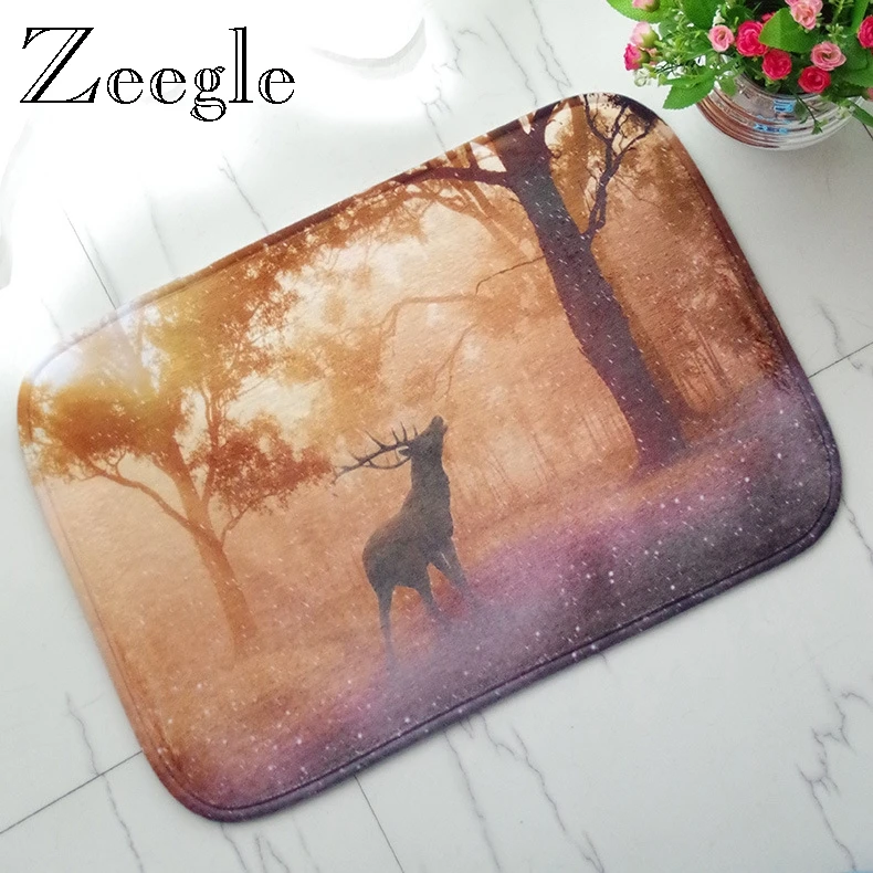 Zeegle Door Mat Anti Slip Floor Rug Foot Mat Absorbent Bathroom Doormat Washable Bedroom Carpet Flannel Soft Hallway Area Rug