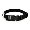 Nylon Webbing Dog Collar Fashion Buckle Pet Collar for Small Medium Dogs Chihuahua Dog Red Black Blue Orange Pet Accessory 5