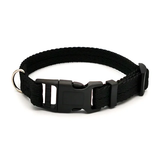 Nylon Webbing Dog Collar Fashion Buckle Pet Collar for Small Medium Dogs Chihuahua Dog Red Black Blue Orange Pet Accessory 5