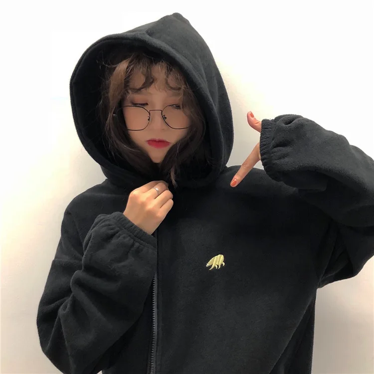 Новое поступление, Harajuku, вышитый медведь, одноцветная Флисовая теплая куртка на молнии, толстовки, корейский стиль, женская Толстовка С Карманами