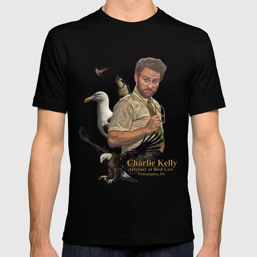 Charlie Kelly: attort at Bird Law-Always Sunny-Fan Art футболка always sunny bird law comedy wall art Цвет птиц