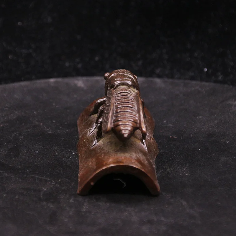 Golden Cicada  (1)