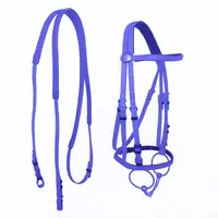 Horse Riding