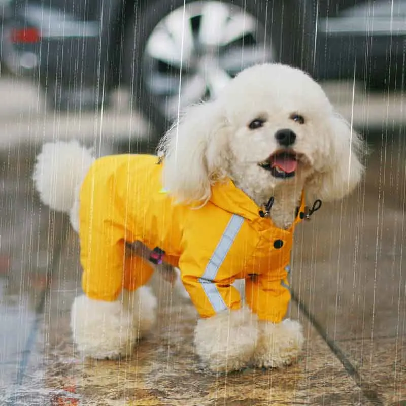 Small Dog Raincoat Reflective Dog Raincoat Waterproof Jumpsuit Puppy Rain Jacket For A Dog Pomeranian Schnauzer Poodle Clothing