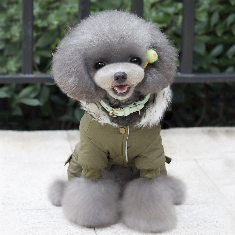 Зимняя одежда для собак Одежда 4 ноги уютная с капюшоном Pet хлопковый комбинезон для щенка пальто куртка для собак маленькие собачки Чихуахуа Йоркширский
