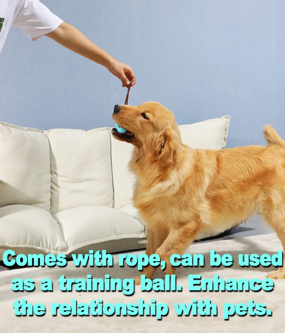 12 - 13438028775_55581158