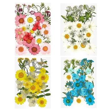 

Real Dried Pressed Flowers Leaves Petals for DIY Candle Resin Jewelry Nail Pendant Crafts Making Art Decor