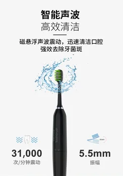 

Electric toothbrush USB rechargeable adult waterproof ultrasonic automatic mode