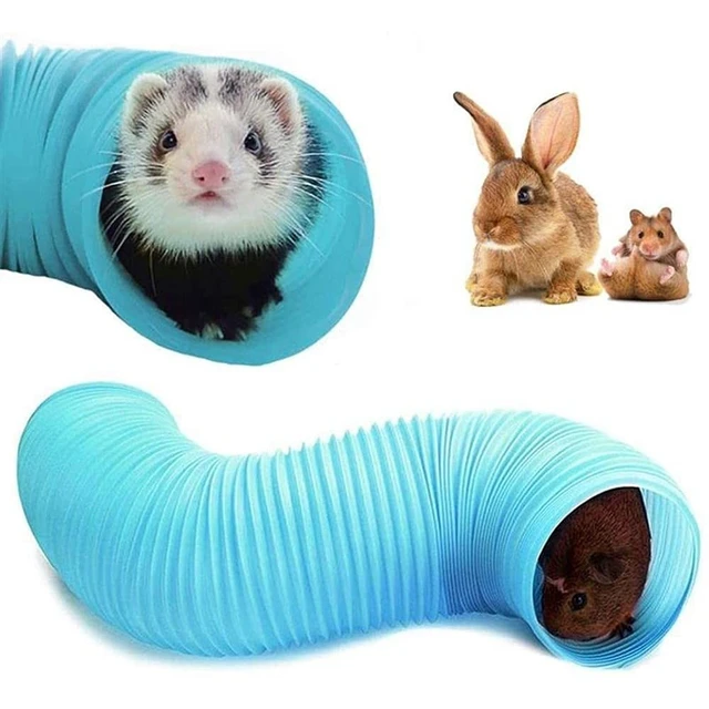 Ferret Toys And Accessories