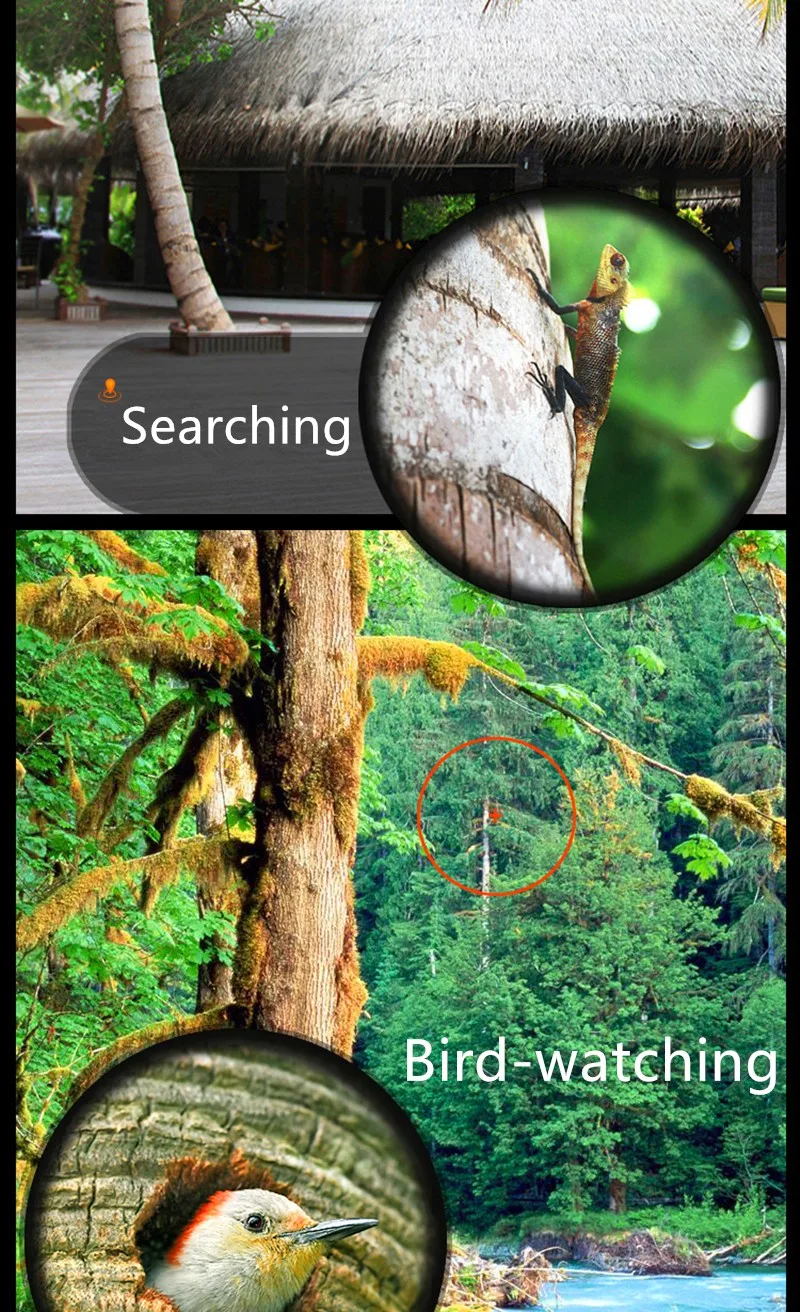 HTB1Lcd2NFXXXXbBapXXq6xXFXXXY