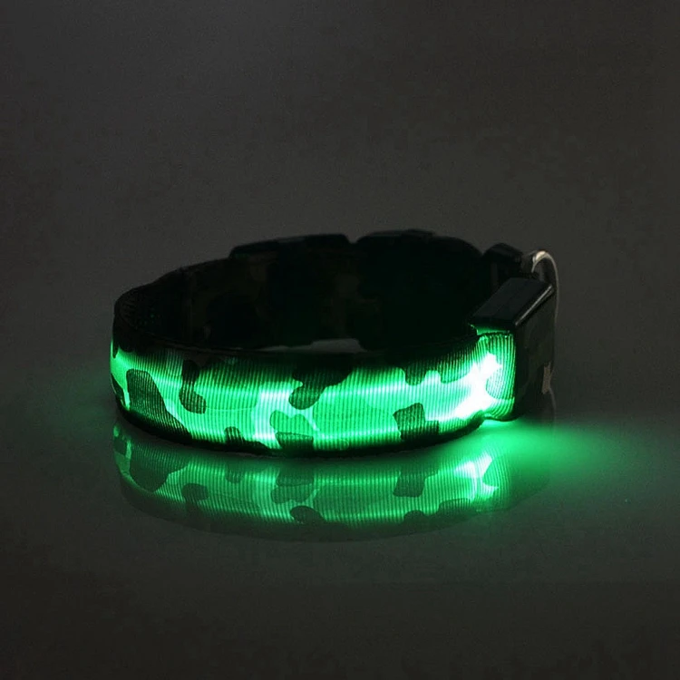dog collar (10)