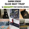 Garden Supplies