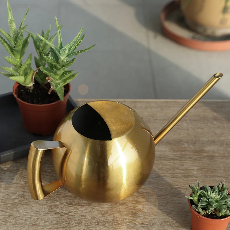 

Stainless Steel 1L Water Cans Creative Spherical Potted Succulents Watering Can Long Spout Watering Kettle Indoor Watering Tools