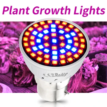 

E27 LED Grow Light E14 Plant Lamp 220V LED Hight Brightness Plants Bulb MR16 Growth Light GU10 Led Vegetables Full Spectrum Lamp