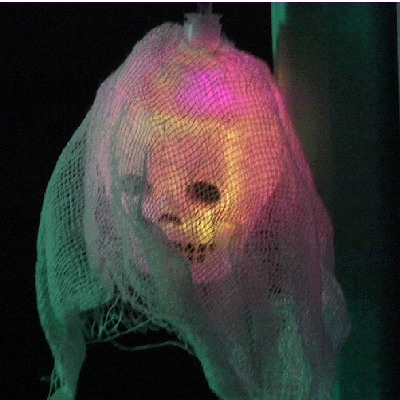 Halloween Ghost string light (6)