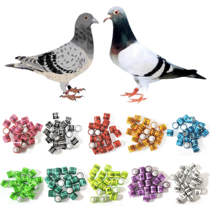 50 Pcs Mixed Color Dove Bands Bird Foot Ring Species Identify Training Rings Pet Bird Label Sign for Pigeon Dove Chicks Small Po