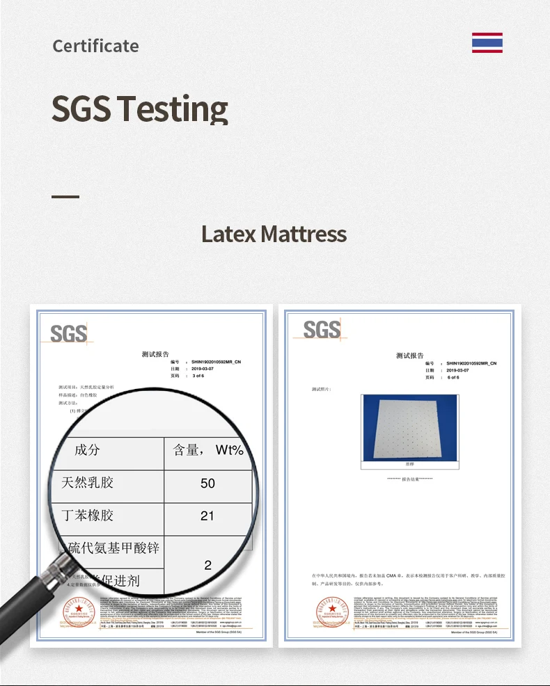 Description Picture 5 of itemDropshipping Customizable Size Mattress Soft Mattress Home Tatami Mat Was The Floor Mat Student ZHA13-2999