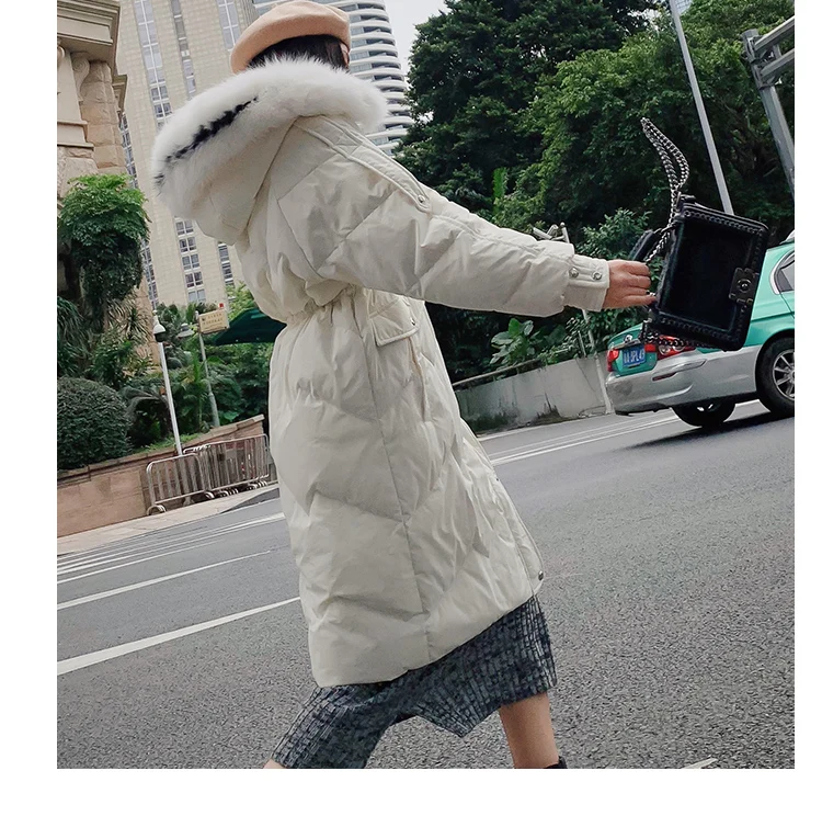 O1CN01tyxhKz1vsTFrcHFiz_!!2583236228