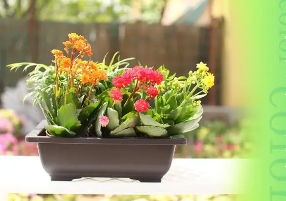 Пластиковый цветочный горшок для бассейна квадратный бонсай миска питомника