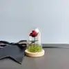 15/18pcs Mini Glass Dome Cloche With Wooden Base Jar Display Stand Terrarium Bottle Display Flower Home Decor Dust Cover Box 4
