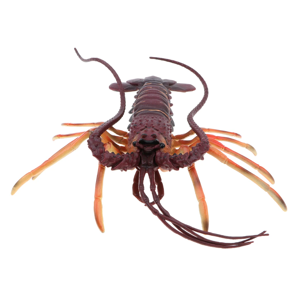 Plastic 15 Inch Spiny Lobster Ocean Creature Animal Model Figurine, Kids Teaching Toy Collectible