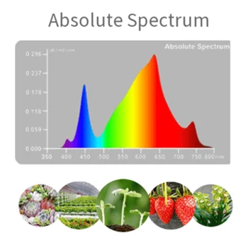 

Clip Folding LED Plant Grow Light 24W AC85-265V Full Spectrum Lamp for Flowers