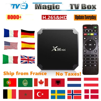 

X96 MINI android TV BOX Europe IPTV France UK German Dutch Sweden French Poland Portugal smart tv box only no channels included