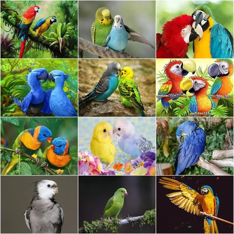 CHENISTORY diamond embroidery mosaic animal parrot cross stitch 5D DIY diamond painting craft kit home rhinestones gift decoration