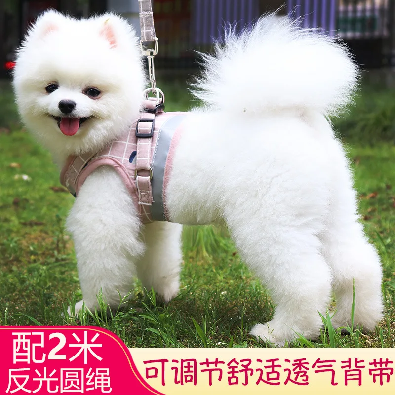 

Cat Hand Holding Rope Cat Walker Useful Product Dog Anti-Bite French Bulldog Labrador Puppy Dog Small Dogs Rope